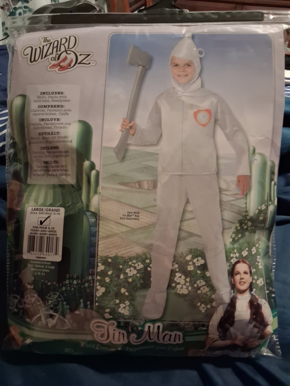 Tin Man, The Wizard Of Oz, Kid Costume - Silver
